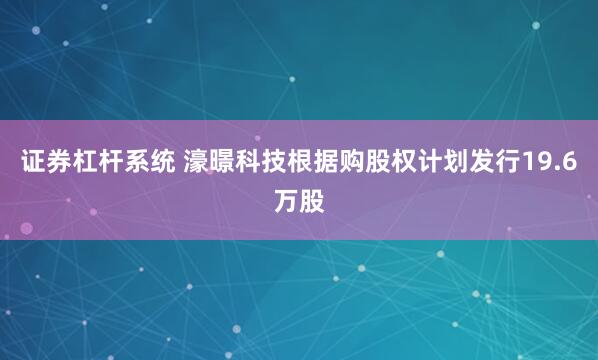 证券杠杆系统 濠暻科技根据购股权计划发行19.6万股