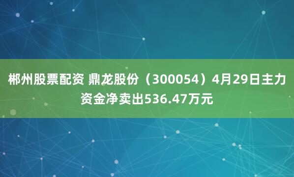 郴州股票配资 鼎龙股份（300054）4月29日主力资金净卖出536.47万元