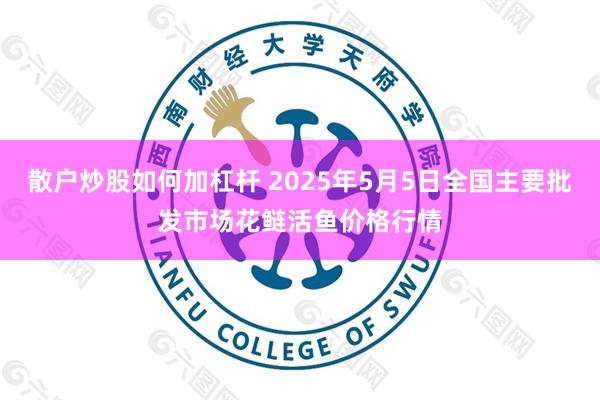 散户炒股如何加杠杆 2025年5月5日全国主要批发市场花鲢活鱼价格行情