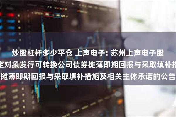 炒股杠杆多少平仓 上声电子: 苏州上声电子股份有限公司关于向不特定对象发行可转换公司债券摊薄即期回报与采取填补措施及相关主体承诺的公告