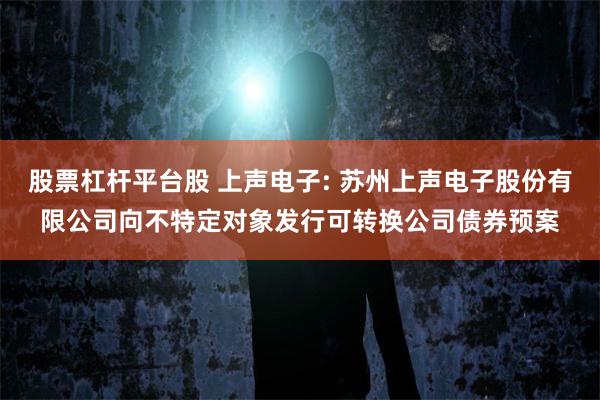 股票杠杆平台股 上声电子: 苏州上声电子股份有限公司向不特定对象发行可转换公司债券预案