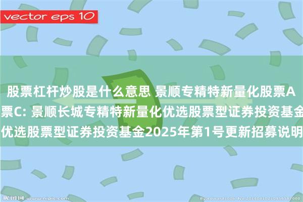 股票杠杆炒股是什么意思 景顺专精特新量化股票A,景顺专精特新量化股票C: 景顺长城专精特新量化优选股票型证券投资基金2025年第1号更新招募说明书