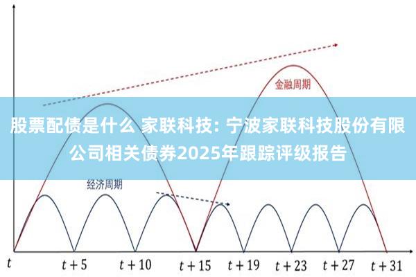 股票配债是什么 家联科技: 宁波家联科技股份有限公司相关债券2025年跟踪评级报告