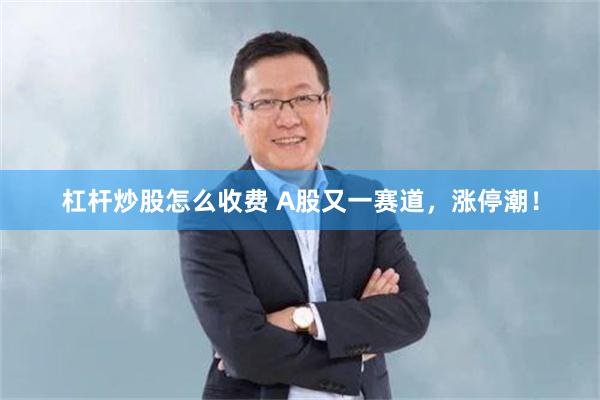 杠杆炒股怎么收费 A股又一赛道，涨停潮！