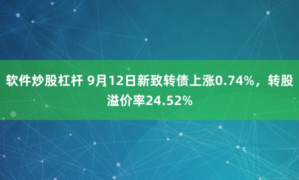 软件炒股杠杆 9月12日新致转债上涨0.74%，转股溢价率24.52%
