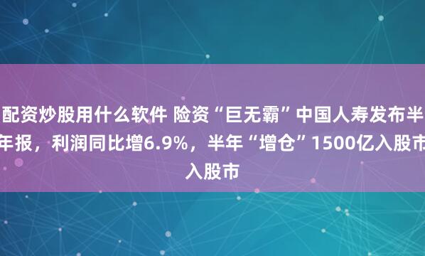 配资炒股用什么软件 险资“巨无霸”中国人寿发布半年报，利润同比增6.9%，半年“增仓”1500亿入股市
