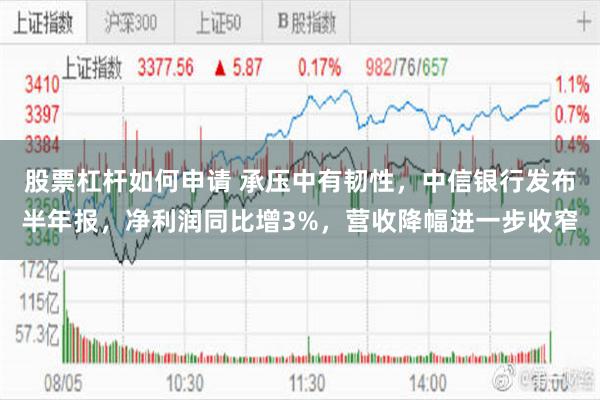 股票杠杆如何申请 承压中有韧性，中信银行发布半年报，净利润同比增3%，营收降幅进一步收窄