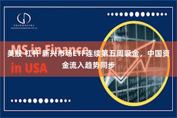 美股 杠杆 新兴市场ETF连续第五周吸金，中国资金流入趋势同步