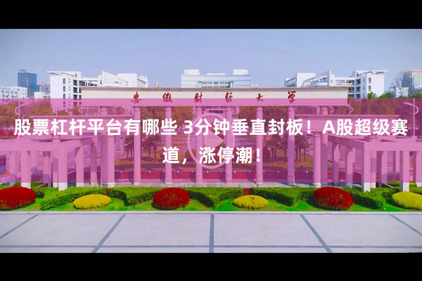 股票杠杆平台有哪些 3分钟垂直封板！A股超级赛道，涨停潮！